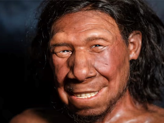 Thói quen dậy sớm có thể được thừa hưởng từ tổ tiên lai tạo Neanderthal 