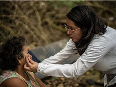 Điều trị Leishmania bằng cây thuốc bản địa: Hy vọng mới