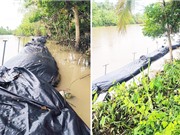 Vĩnh Long: Thử nghiệm chống sạt lở bờ sông bằng vật liệu tái chế