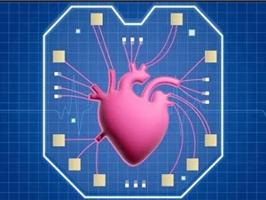 Hệ thống ‘tim trên chip’ giúp thử nghiệm thuốc