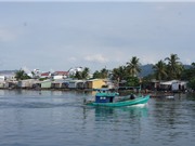 Việt- Mỹ khởi động dự án bảo vệ hệ sinh thái ven biển ĐBSCL 