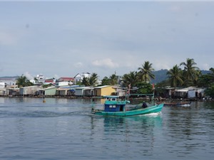Việt- Mỹ khởi động dự án bảo vệ hệ sinh thái ven biển ĐBSCL 