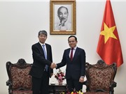 Việt Nam đề nghị IAEA tiếp tục hỗ trợ xây dựng chính sách, đào tạo nhân lực năng lượng nguyên tử