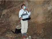 Ghi nhận nhiều loài dơi sinh sống trong các hang động ở Việt Nam