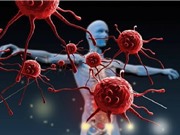 Phát hiện một cách mới tiêu diệt virus HIV