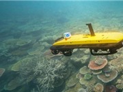 Úc hỗ trợ Việt Nam nâng cao năng lực giám sát rạn san hô