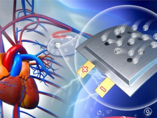 [Video] Phát triển pin cấy ghép tự nạp năng lượng từ oxy trong cơ thể