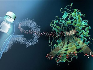 Loại nhựa mới có khả năng phân hủy sinh học