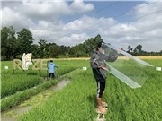 Rize: Hỗ trợ nông dân canh tác bền vững