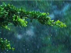 Bằng chứng về những cơn mưa đầu tiên trên Trái đất