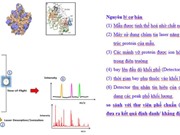 QUATEST 3 triển khai phương pháp định lượng Bacillus subtilis trong chế phẩm sinh học