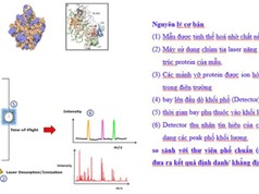 QUATEST 3 triển khai phương pháp định lượng Bacillus subtilis trong chế phẩm sinh học