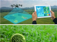 Ba dự án AgriTech và FoodTech nhận tài trợ 1,45 AUD của Aus4Innovation 