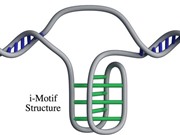 Lập bản đồ 50.000 nút thắt bí ẩn trong DNA