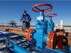 Nhu cầu khí đốt toàn cầu tăng trưởng 2,5% vào năm 2024