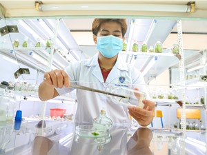 Ứng dụng công nghệ sinh học: Để không bỏ lỡ cơ hội? 