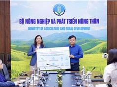 Tiếp nhận viện trợ khẩn cấp hỗ trợ đồng bào bị ảnh hưởng bởi cơn bão số 3