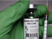 Chạy đua thử nghiệm vaccine ngừa virus Marburg