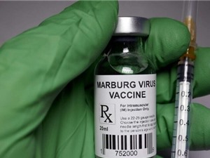 Chạy đua thử nghiệm vaccine ngừa virus Marburg