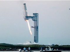 SpaceX thu hồi thành công tầng đẩy tên lửa Starship