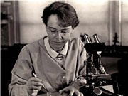 Barbara McClintock: Khám phá một số gene nhảy