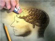 Mối liên hệ giữa vi khuẩn đường ruột và bệnh Alzheimer