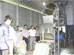 Vĩnh Long: Chế tạo dây chuyền chế biến thức ăn gia súc