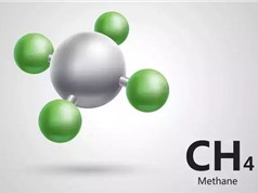 Khí thải methane tăng nhanh đe dọa các mục tiêu khí hậu