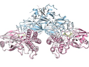 Google DeepMind cung cấp mã nguồn mở công cụ AI dự đoán cấu trúc protein