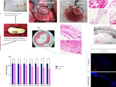 Việt Nam có gần 90 sáng chế, giải pháp về tế bào gốc y tế