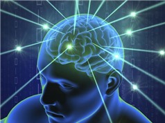 Vai trò của xác suất trong việc giải thích cách trí não chúng ta hoạt động