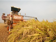 Các hệ thống thực phẩm có tiềm năng cứu 174 triệu người khỏi chết sớm