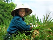 Nhiều người có cuộc sống rất hài lòng, bất chấp việc họ chỉ có ít tiền bạc
