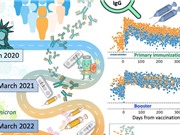 Phản ứng kháng thể do vaccine COVID-19 tạo ra có hiệu quả lâu dài