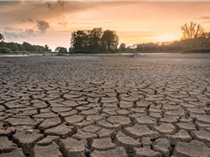 3/4 diện tích đất trên Trái đất đang dần trở nên khô hạn
