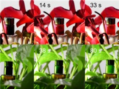 Vật liệu ngụy trang đột phá có thể giúp con người tàng hình