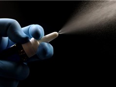 Thử nghiệm vaccine ho gà dạng xịt qua đường mũi