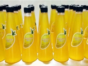 Đa dạng hóa công nghệ sản xuất giấm xoài quy mô công nghiệp