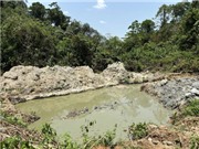 4.642 loài động vật có xương sống đang bị đe dọa bởi hoạt động khai thác khoáng sản