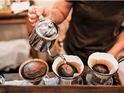 Các nhà khoa học tìm thấy hai giải pháp thay thế cho cà phê Arabica