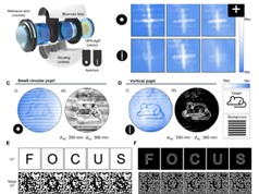 Phát triển một dạng mắt nhân tạo mới trên cơ sở mắt mèo