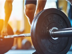 Phát hiện quan trọng về cơ chế loại bỏ chất thải tế bào