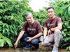 Startup agritech Enfarm nhận vốn đầu tư hạt giống 