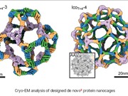 Nền tảng vận chuyển gene mô phỏng virus