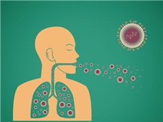 Phác đồ an toàn và hiệu quả để phòng ngừa bệnh lao kháng đa thuốc