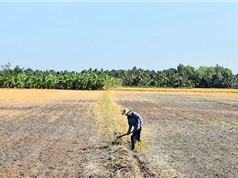 Phương pháp dự báo hạn hán trước từ một đến vài tháng