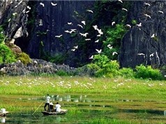 Sáng chế giúp bảo vệ đa dạng sinh học