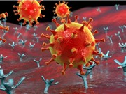 Phát hiện virus corona mới có khả năng lây nhiễm vào tế bào người