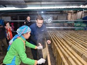 Khi nào nên đầu tư vào “vàng số”? 