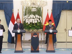 Việt Nam - Indonesia thúc đẩy hợp tác KH, CN, ĐMST và chuyển đổi số